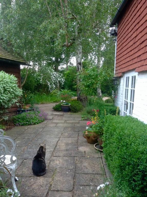 The Old Well House Bed & Breakfast Rye
