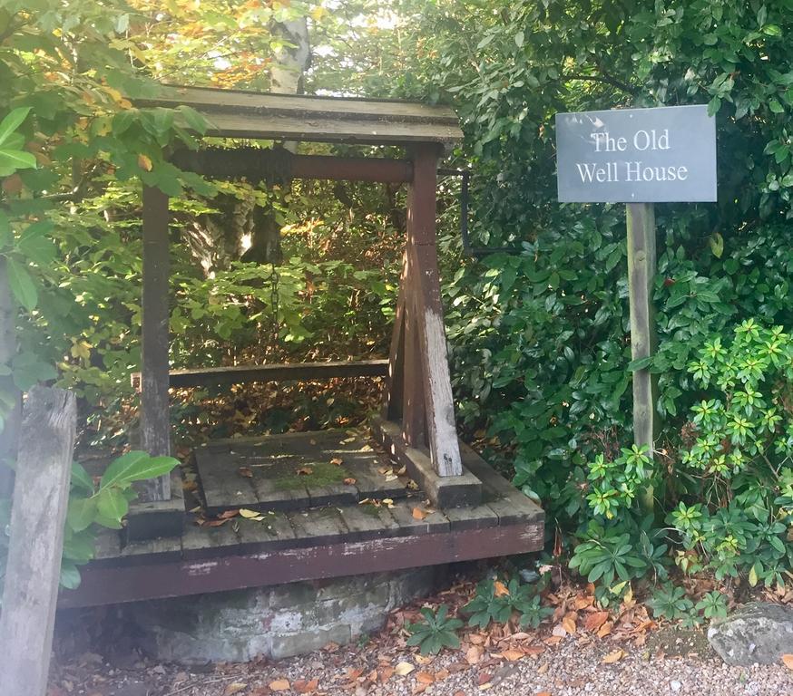 The Old Well House Rye