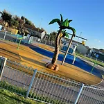Pet Paradise