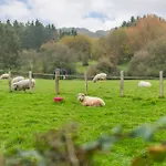 The Grainstore By Bloom Stays