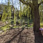 Willow Cottage