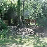 Dogwood Cabin