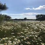 Point Farm B&B