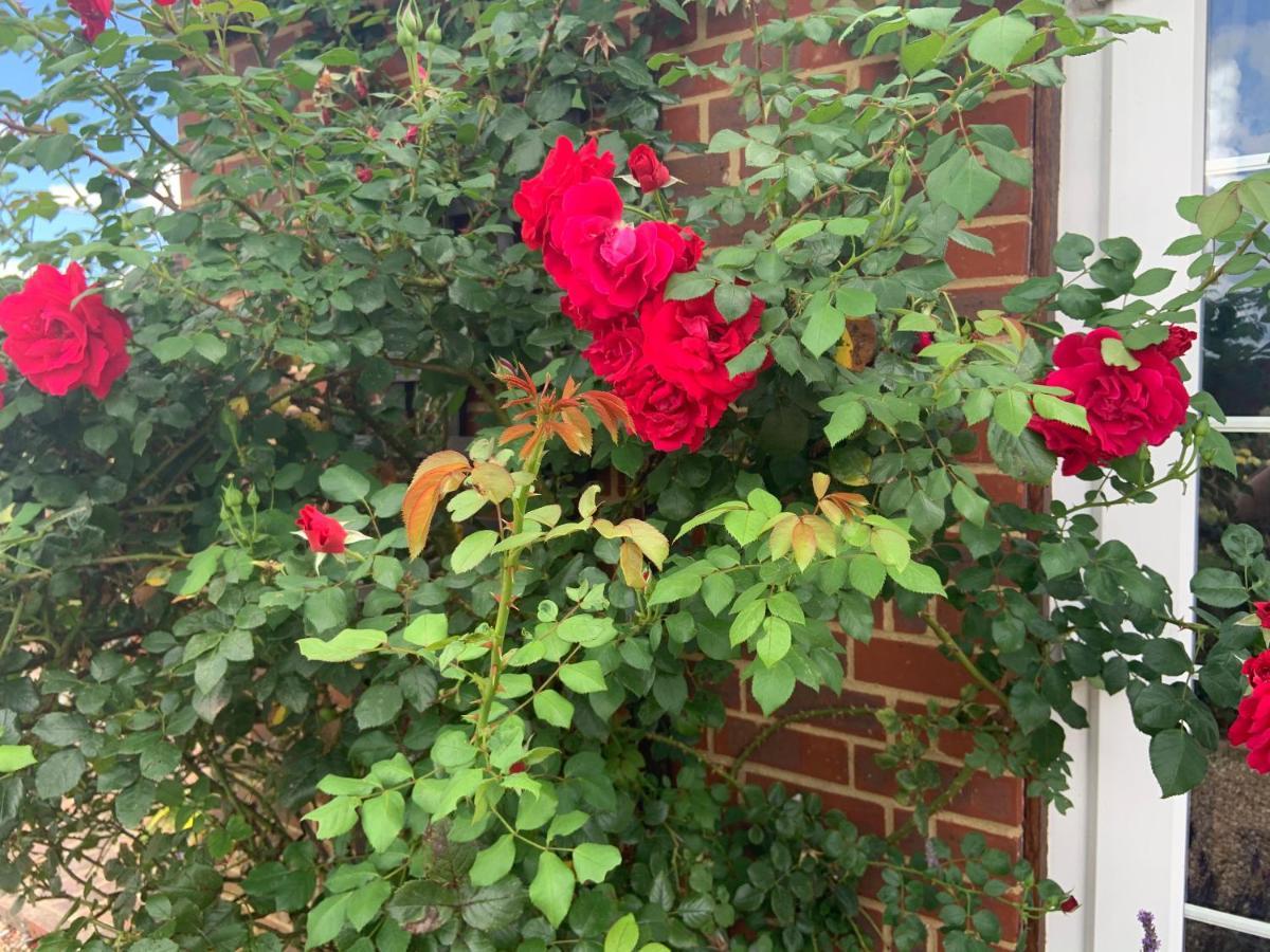 Holiday home Rose Rye