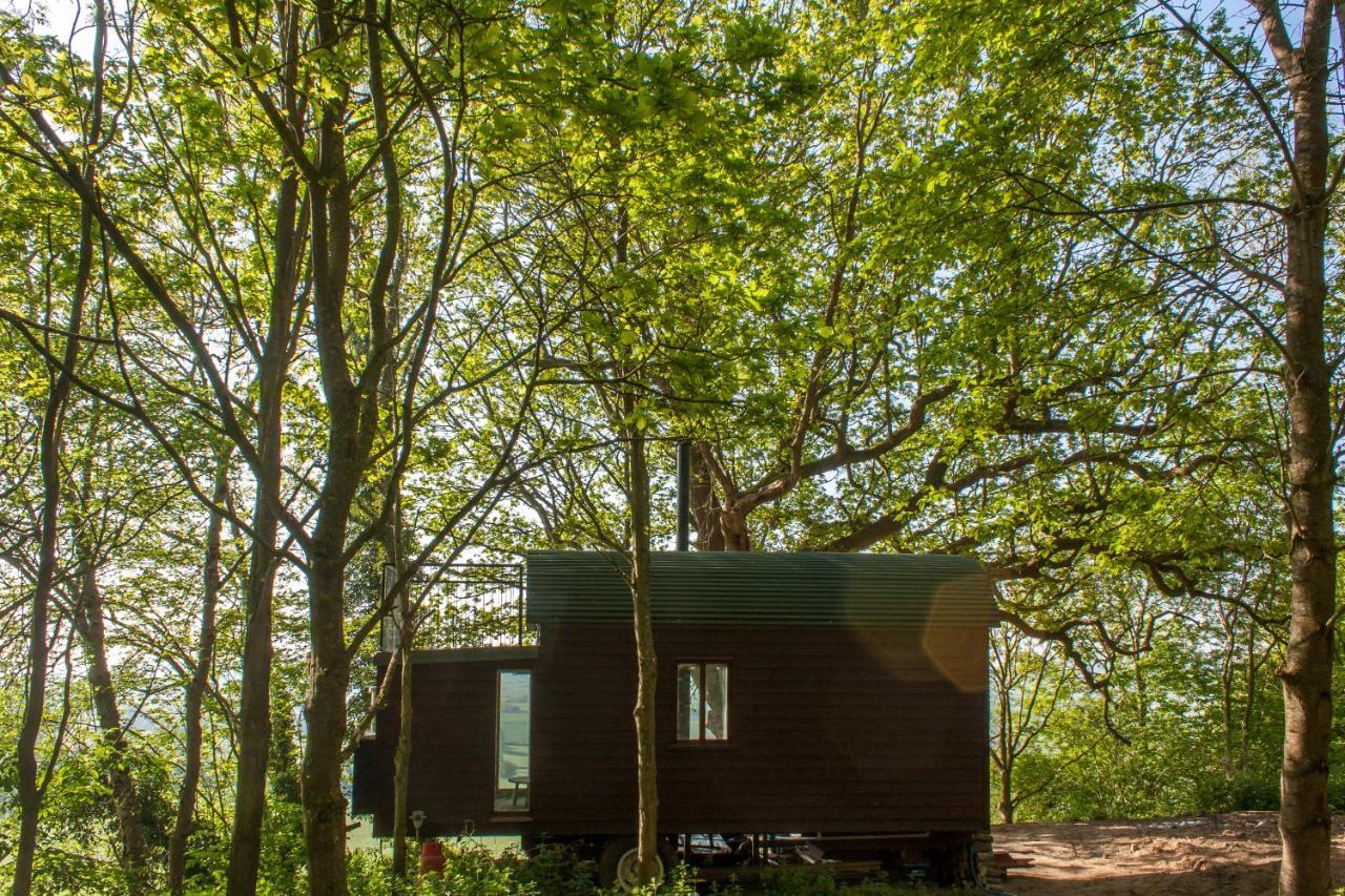 Farm stay Extraordinary Huts Ltd
