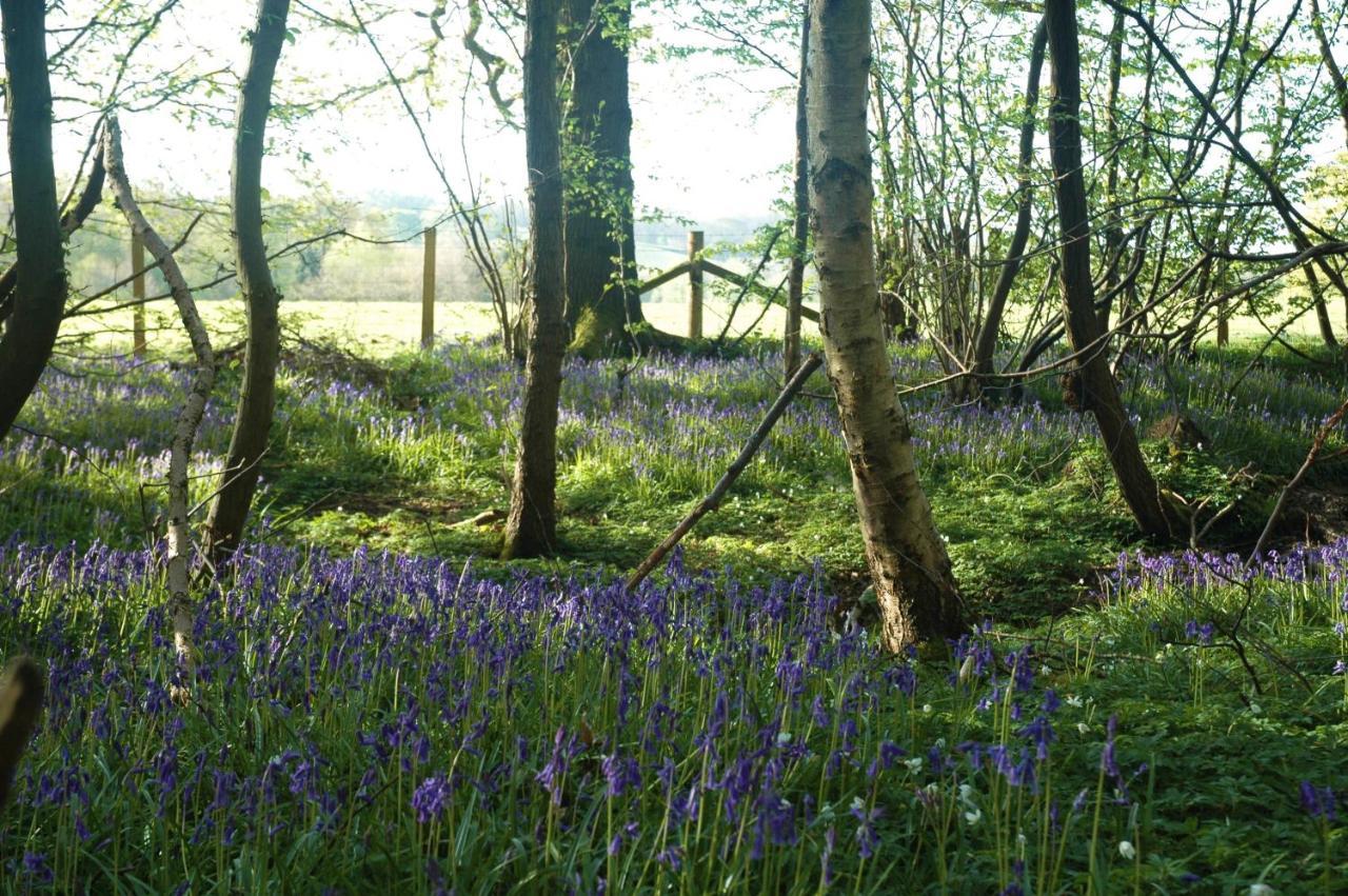 Bluebells Apartment *