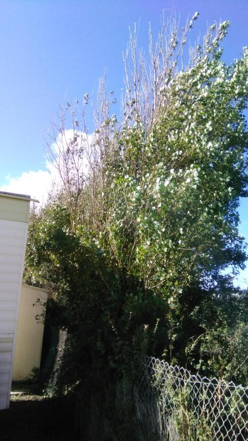 Charming 3-bed Caravan In Camber Food Rest Holiday home *