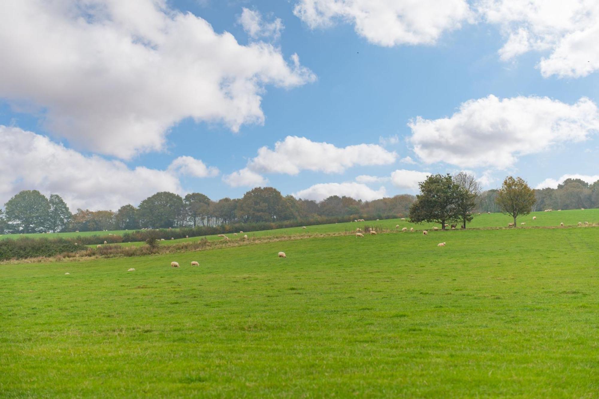 Holiday home The Grainstore By Bloom Rye