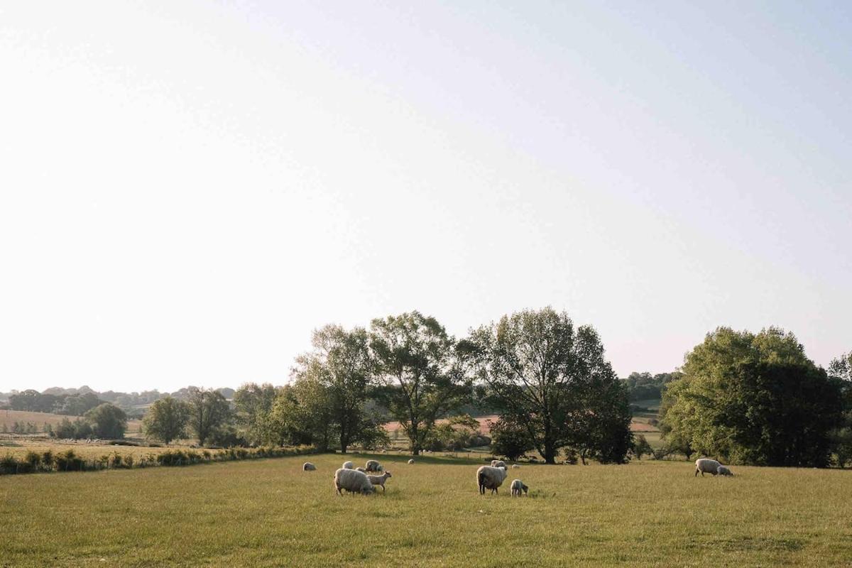 The Bullock Lodge, Foreign Holiday home