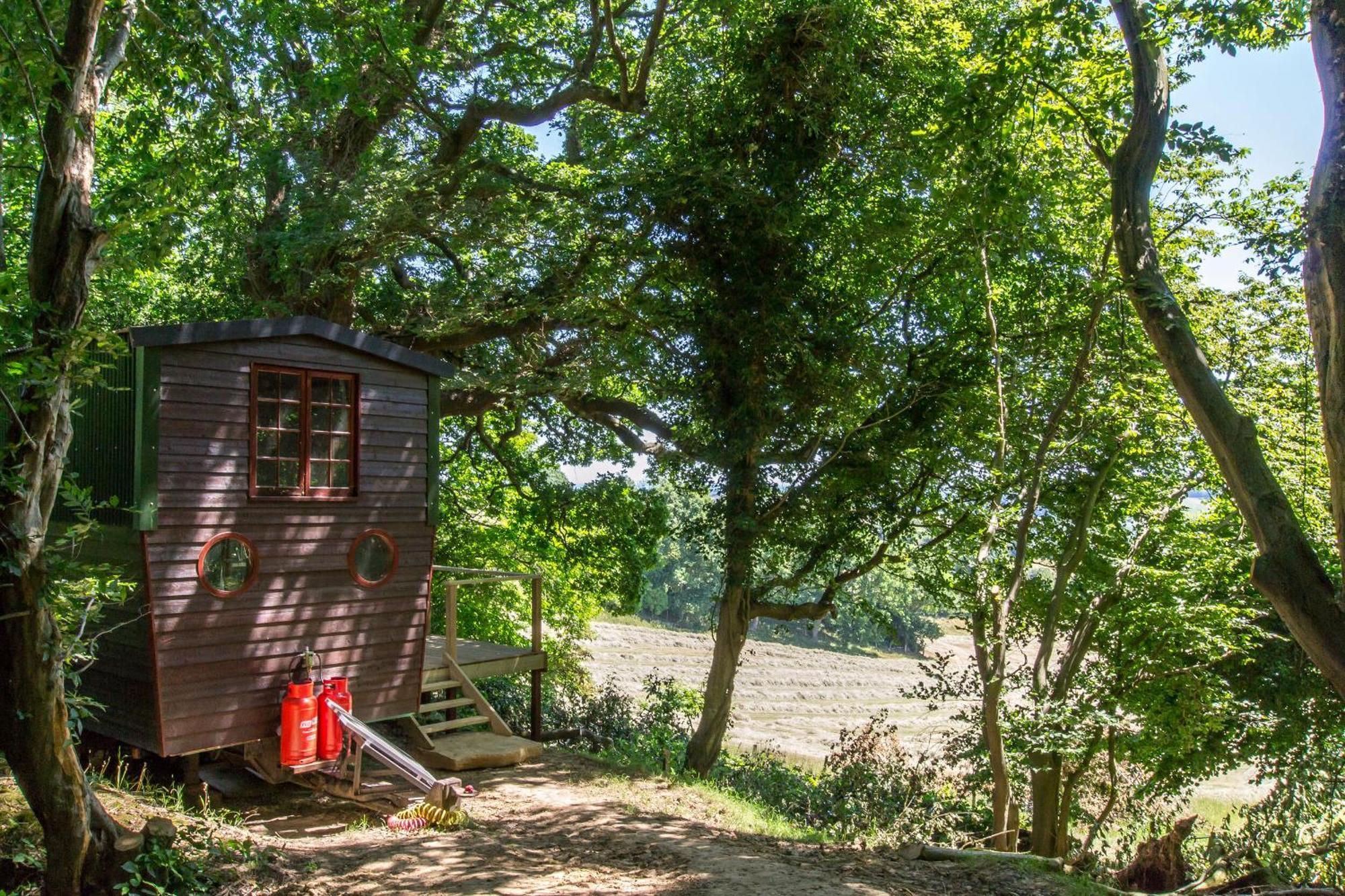 Extraordinary Huts Ltd * Rye