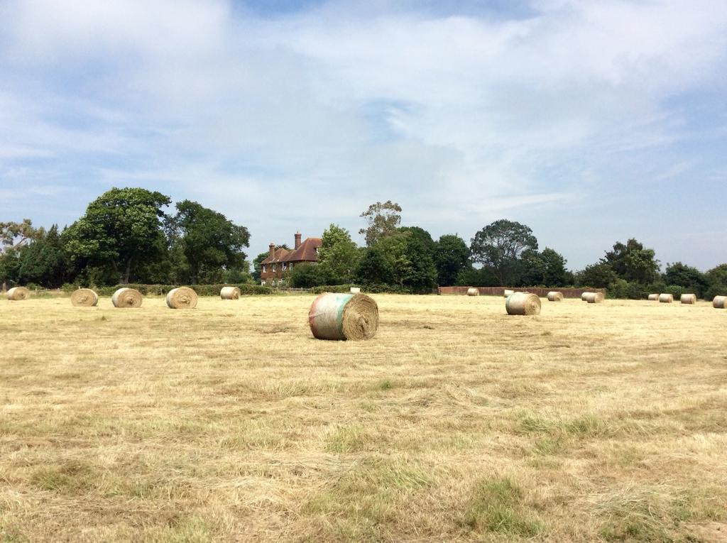 Humphries Cross Rye