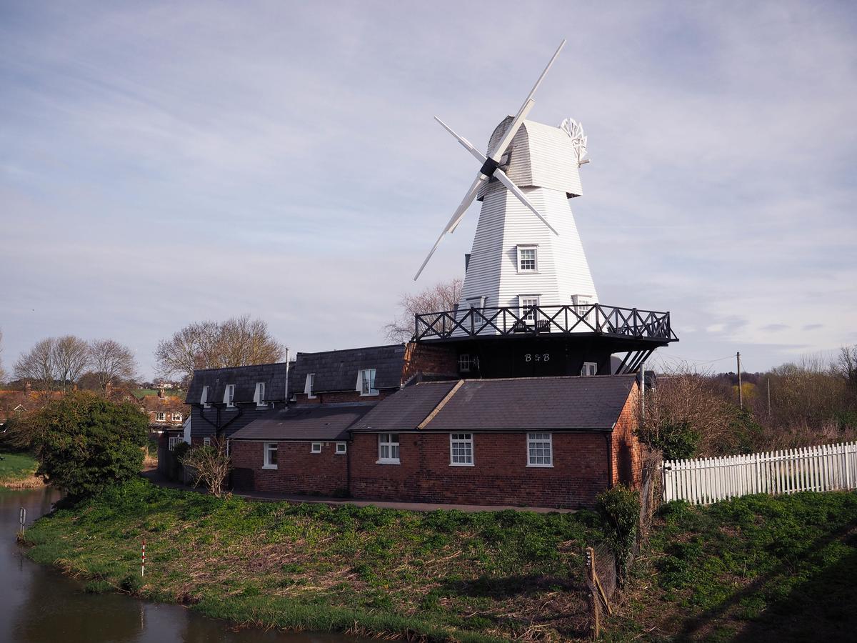 Windmill Rye