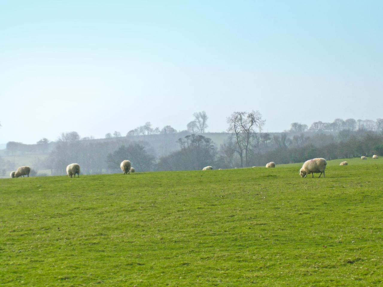 Bullock Holiday home Rye