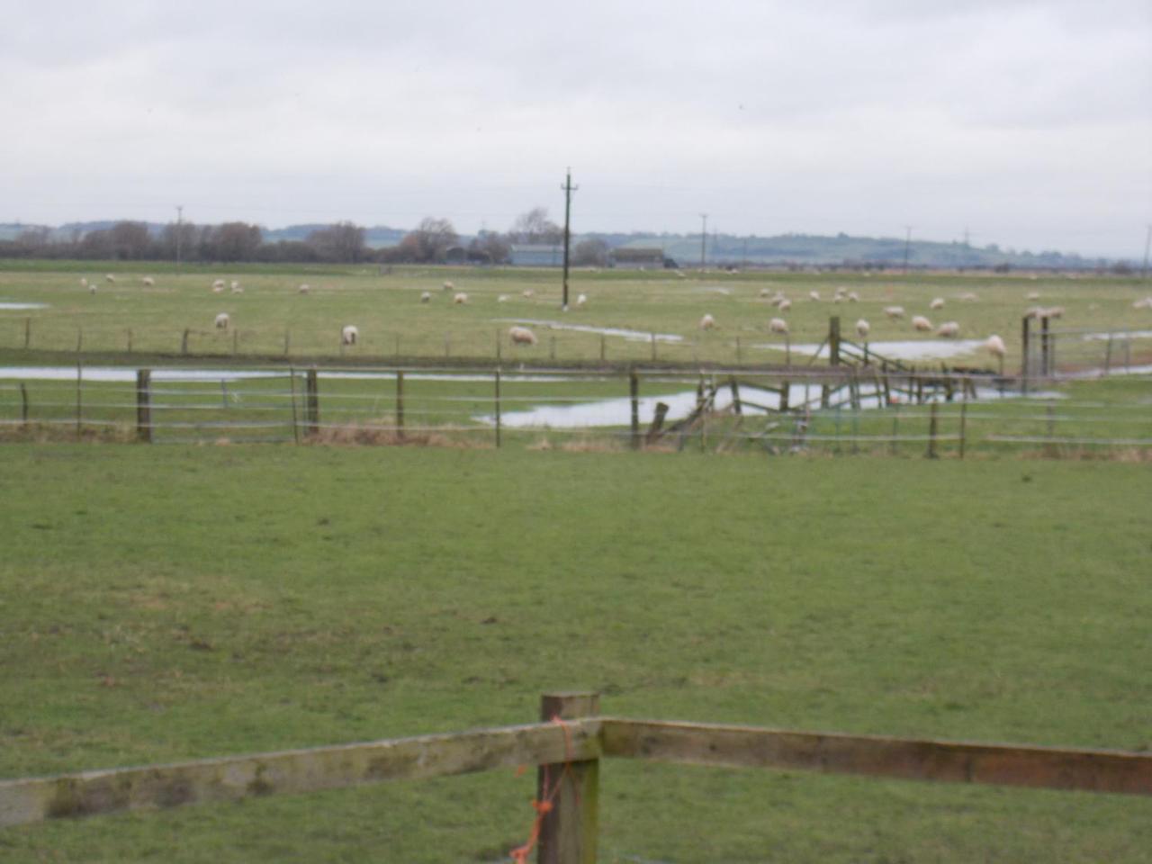Bed & Breakfast Point Farm 4*