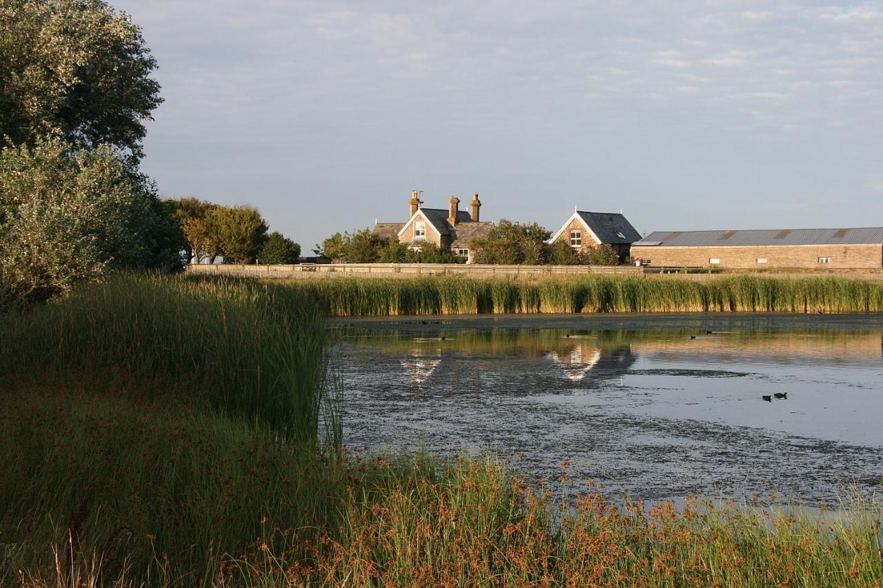 Bed & Breakfast Point Farm Rye