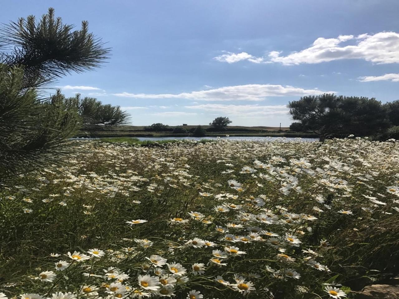 Point Farm