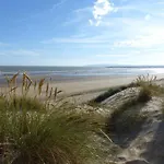 Bee Cottage - Stylish Holiday Cottage In Rye