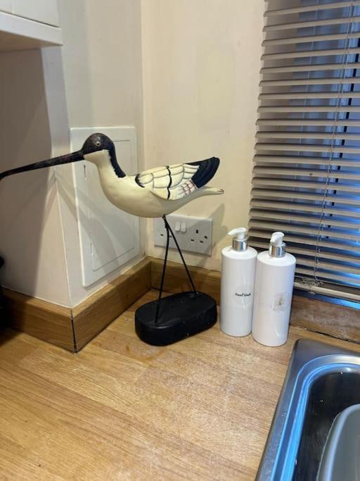Curlew In Historic Holiday home *