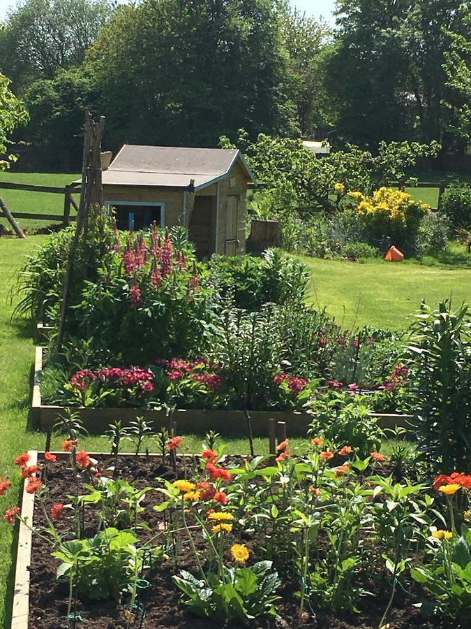 Bed & Breakfast The Corner House 4*